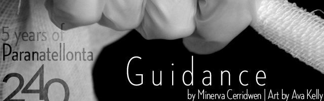 Banner for Guidance - 5 years of Paranatellonta