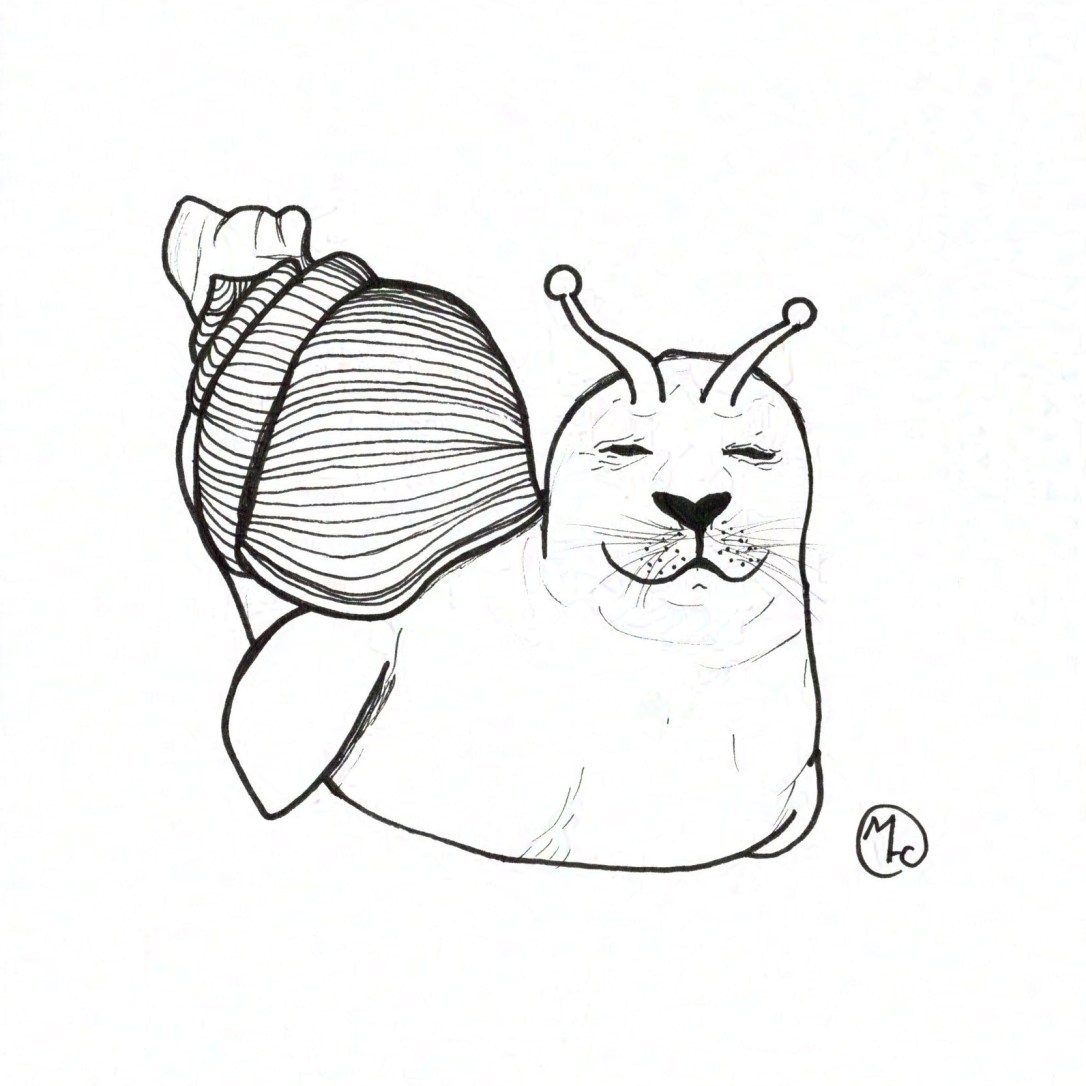Sneal: illustration of a snail-seal in black ink.