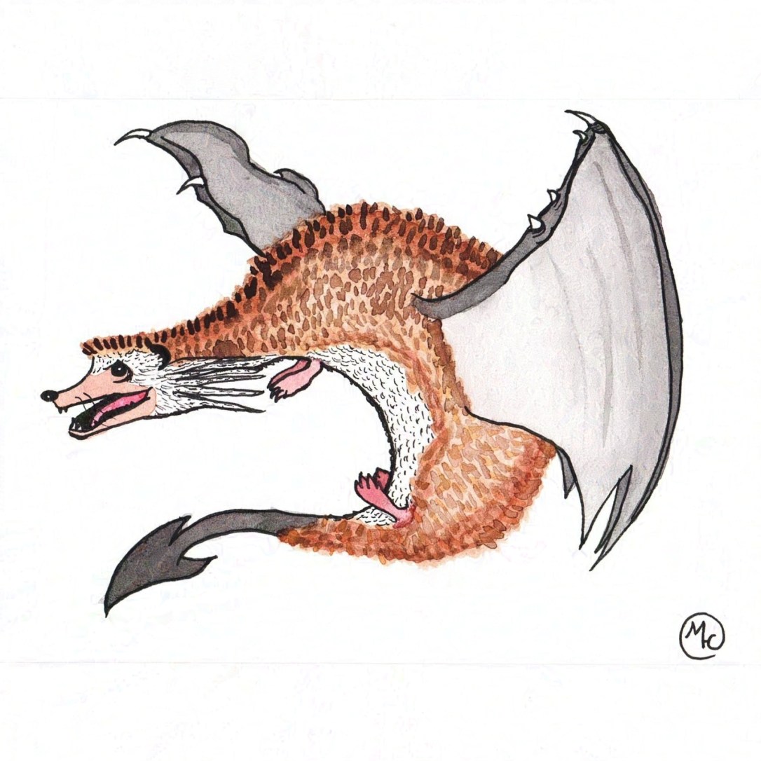 Illustration of a hedgehog with dragon spikes on its face, dragon wings, and a dragon tail.