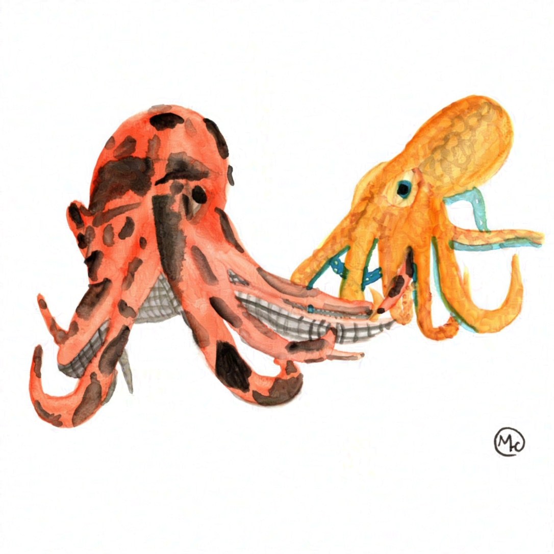 Watercolour illustration of a red-and-black and a yellow-and-teal octopus.