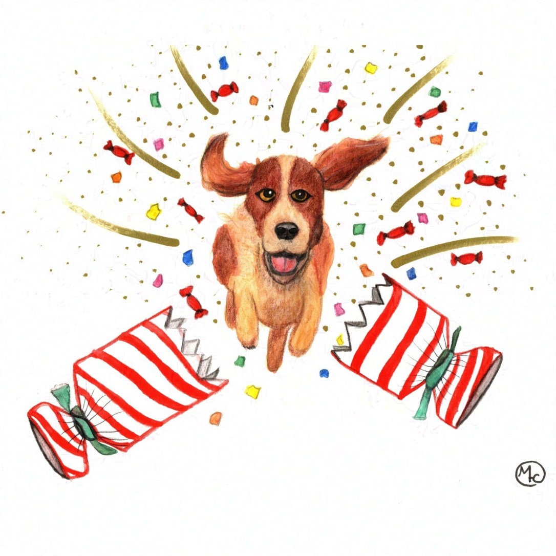 Illustration of a small dog flying out of a Christmas cracker along with lots of golden glitter, colourful confetti, and red-wrapped candy.
