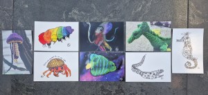 Photo of the set of Sea Creature postcards.